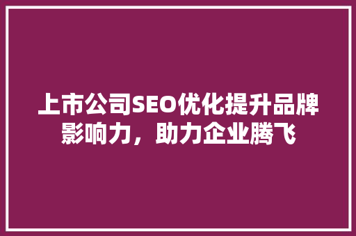 上市公司SEO优化提升品牌影响力，助力企业腾飞