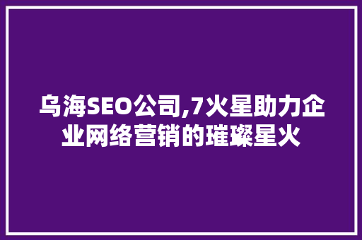 乌海SEO公司,7火星助力企业网络营销的璀璨星火