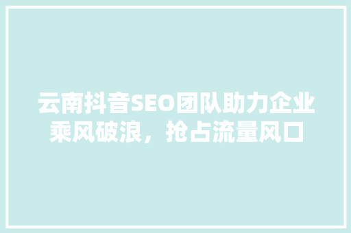 云南抖音SEO团队助力企业乘风破浪，抢占流量风口