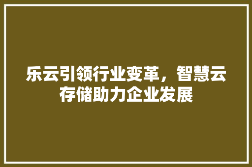 乐云引领行业变革，智慧云存储助力企业发展