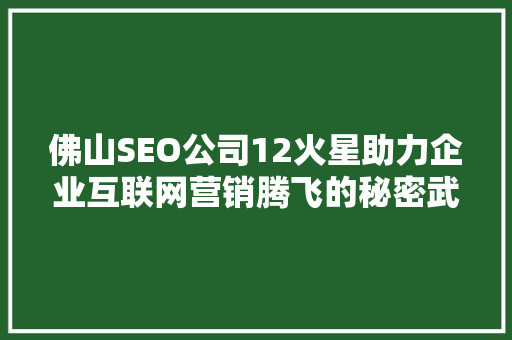 佛山SEO公司12火星助力企业互联网营销腾飞的秘密武器