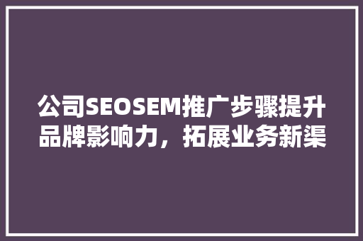 公司SEOSEM推广步骤提升品牌影响力，拓展业务新渠道