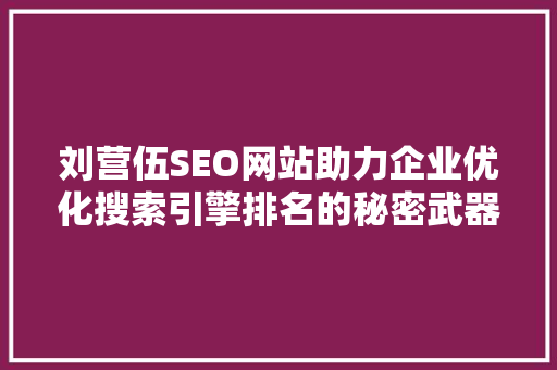 刘营伍SEO网站助力企业优化搜索引擎排名的秘密武器
