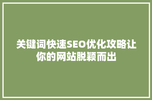 关键词快速SEO优化攻略让你的网站脱颖而出