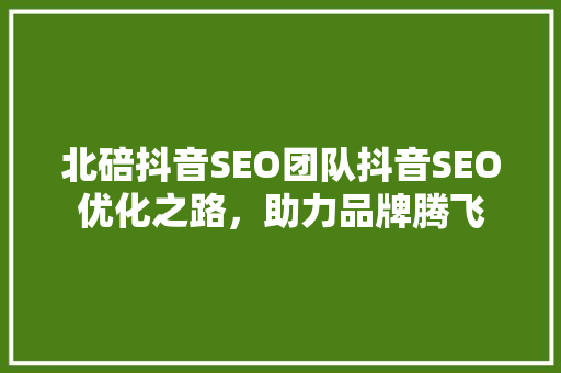北碚抖音SEO团队抖音SEO优化之路，助力品牌腾飞
