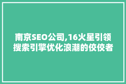 南京SEO公司,16火星引领搜索引擎优化浪潮的佼佼者