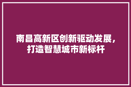 南昌高新区创新驱动发展，打造智慧城市新标杆