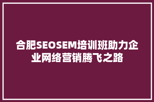 合肥SEOSEM培训班助力企业网络营销腾飞之路