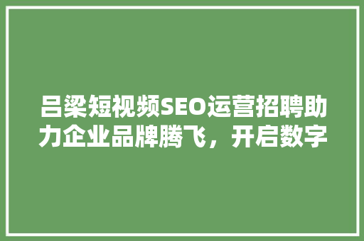 吕梁短视频SEO运营招聘助力企业品牌腾飞，开启数字营销新篇章