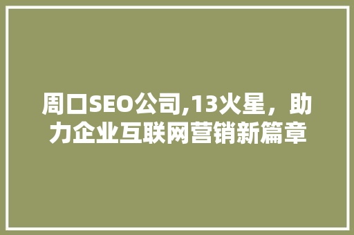 周口SEO公司,13火星，助力企业互联网营销新篇章