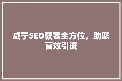 咸宁SEO获客全方位，助您高效引流