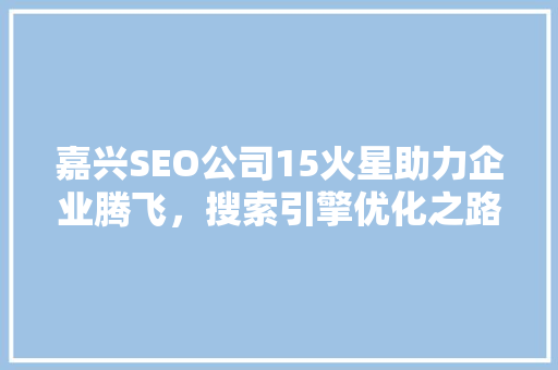 嘉兴SEO公司15火星助力企业腾飞，搜索引擎优化之路