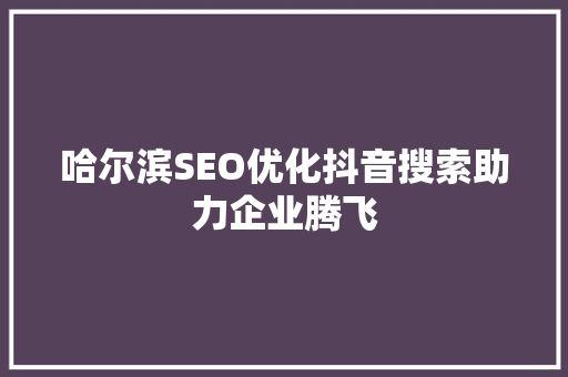 哈尔滨SEO优化抖音搜索助力企业腾飞