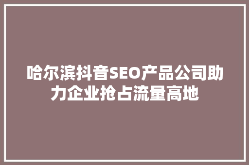 哈尔滨抖音SEO产品公司助力企业抢占流量高地