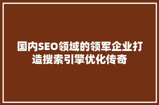 国内SEO领域的领军企业打造搜索引擎优化传奇