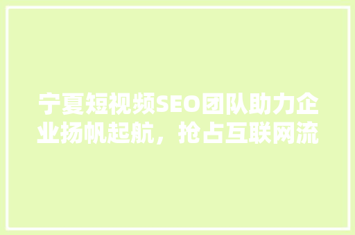 宁夏短视频SEO团队助力企业扬帆起航，抢占互联网流量高地