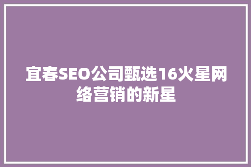 宜春SEO公司甄选16火星网络营销的新星