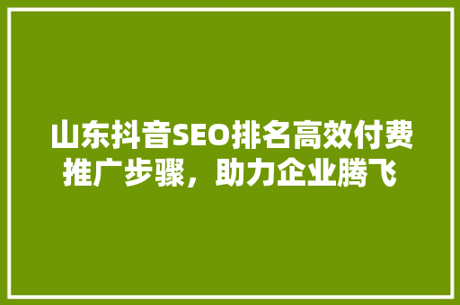山东抖音SEO排名高效付费推广步骤，助力企业腾飞