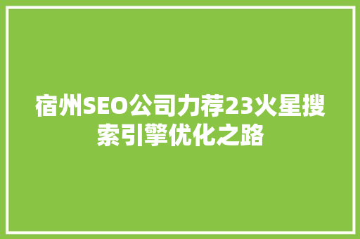宿州SEO公司力荐23火星搜索引擎优化之路