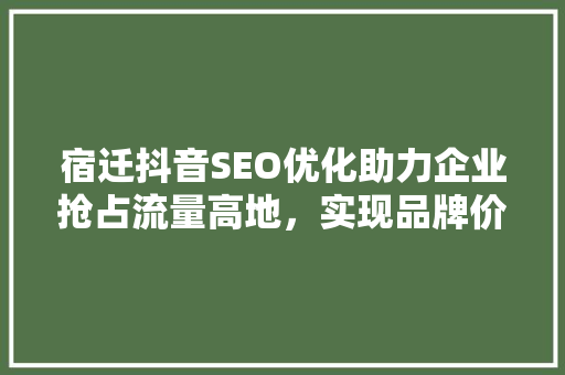 宿迁抖音SEO优化助力企业抢占流量高地，实现品牌价值飞跃