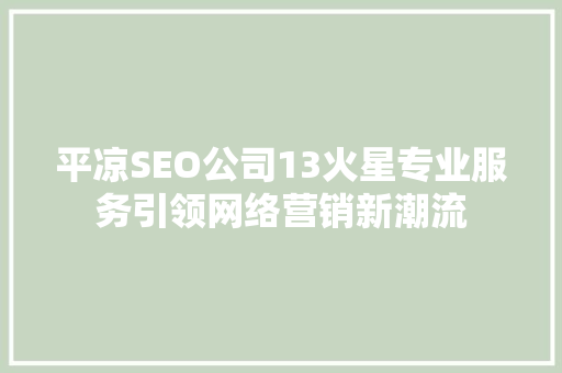 平凉SEO公司13火星专业服务引领网络营销新潮流