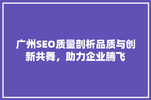 广州SEO质量剖析品质与创新共舞，助力企业腾飞