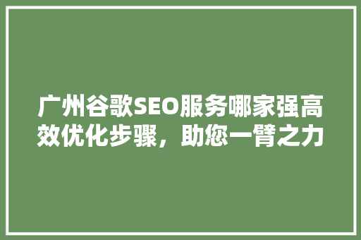 广州谷歌SEO服务哪家强高效优化步骤，助您一臂之力