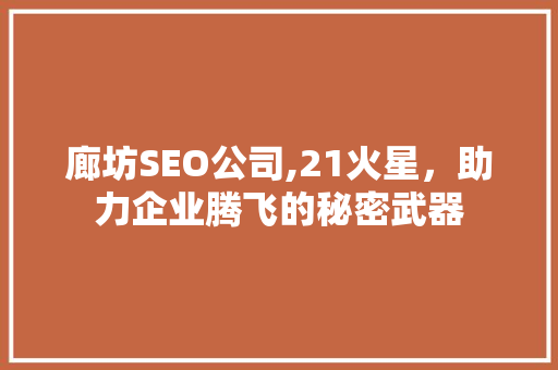 廊坊SEO公司,21火星，助力企业腾飞的秘密武器