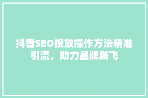 抖音SEO投放操作方法精准引流，助力品牌腾飞