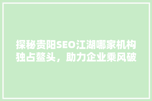 探秘贵阳SEO江湖哪家机构独占鳌头，助力企业乘风破浪