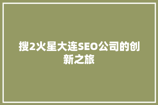 搜2火星大连SEO公司的创新之旅