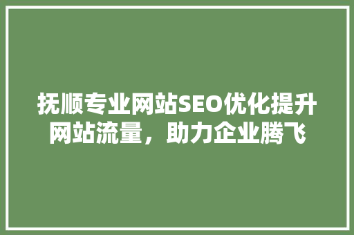 抚顺专业网站SEO优化提升网站流量，助力企业腾飞