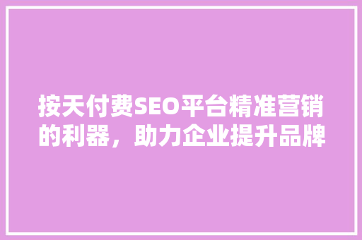 按天付费SEO平台精准营销的利器，助力企业提升品牌影响力