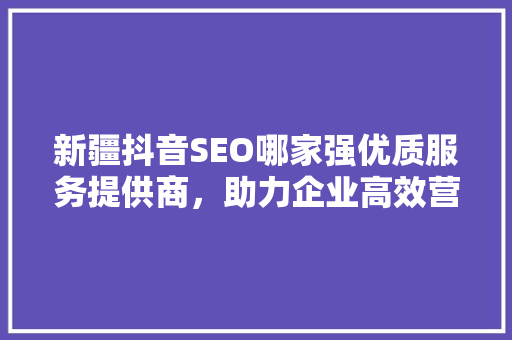新疆抖音SEO哪家强优质服务提供商，助力企业高效营销