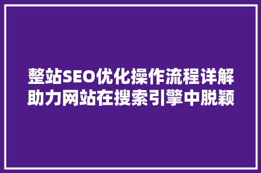 整站SEO优化操作流程详解助力网站在搜索引擎中脱颖而出