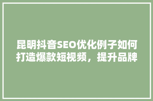 昆明抖音SEO优化例子如何打造爆款短视频，提升品牌影响力