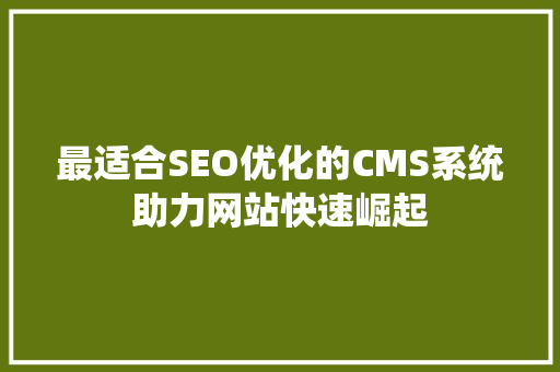 最适合SEO优化的CMS系统助力网站快速崛起