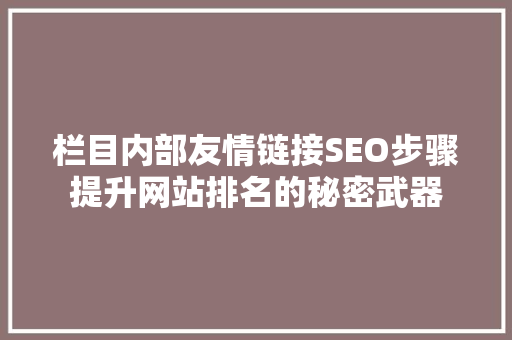 栏目内部友情链接SEO步骤提升网站排名的秘密武器