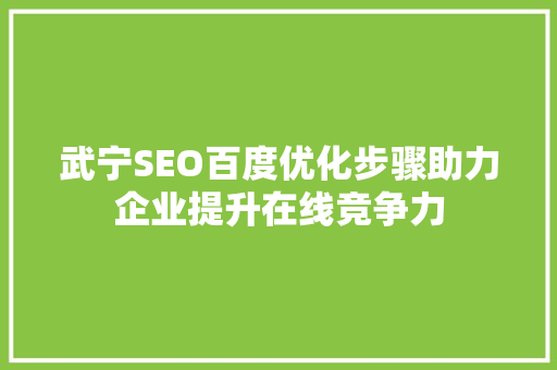 武宁SEO百度优化步骤助力企业提升在线竞争力