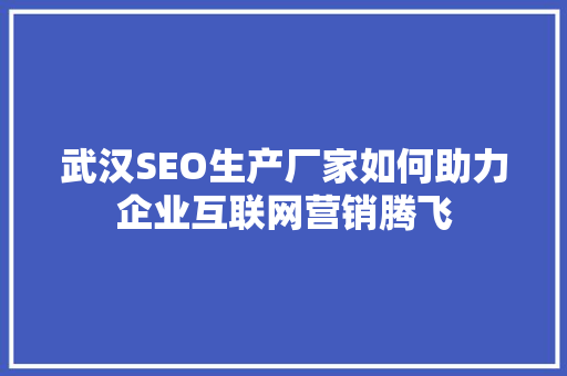 武汉SEO生产厂家如何助力企业互联网营销腾飞