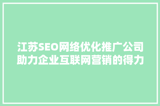 江苏SEO网络优化推广公司助力企业互联网营销的得力助手