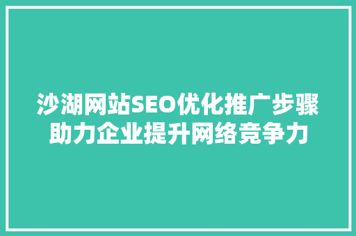 沙湖网站SEO优化推广步骤助力企业提升网络竞争力