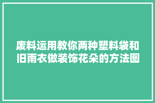 废料运用教你两种塑料袋和旧雨衣做装饰花朵的方法图文教程