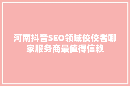 河南抖音SEO领域佼佼者哪家服务商最值得信赖