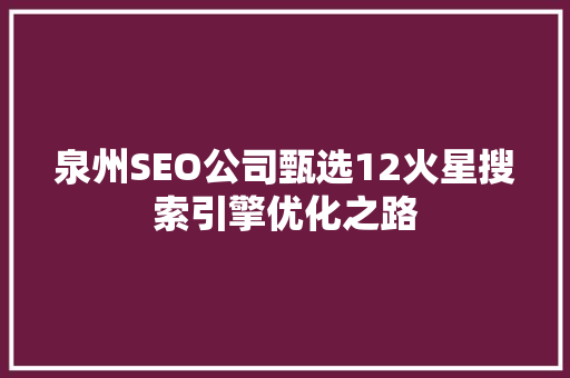 泉州SEO公司甄选12火星搜索引擎优化之路