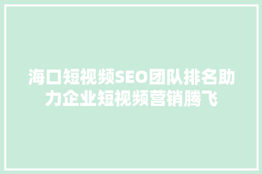海口短视频SEO团队排名助力企业短视频营销腾飞