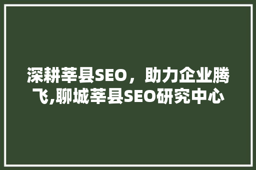 深耕莘县SEO，助力企业腾飞,聊城莘县SEO研究中心引领时代潮流
