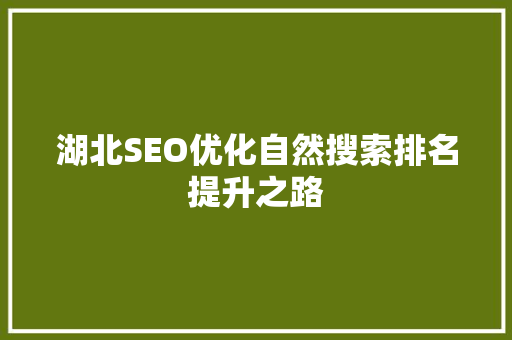 湖北SEO优化自然搜索排名提升之路