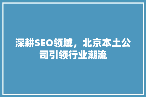 深耕SEO领域，北京本土公司引领行业潮流