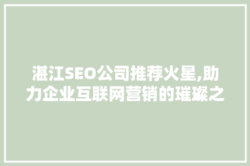 湛江SEO公司推荐火星,助力企业互联网营销的璀璨之星